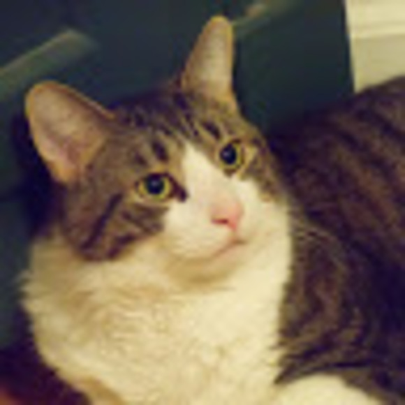 Meet your Posher, Ruth - Picture 1 of 1